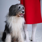 Юбка красного цвета Roseville